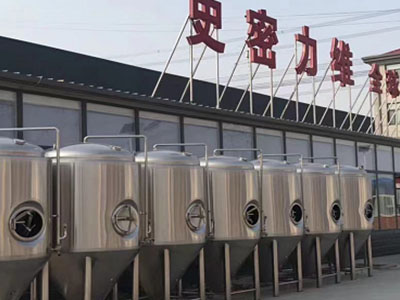潍城精酿啤酒设备厂—市场规模与跨界新需求